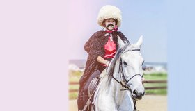 Открытый турнир по конному спорту в дисциплине конкур. Байкальский карнавал