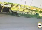 Конь. Скриншот из видео пресс-службы ГУ МВД России по Иркутской области