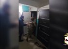 Момент задержания. Скриншот из видео пресс-службы ГУ МВД России по Иркутской области