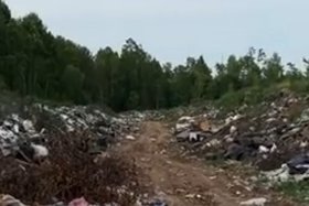 Свалка. Скриншот видео Анны Ивановой