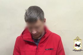 Автомобилист. Скриншот видео пресс-службы ГУ МВД по региону