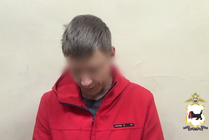 Автомобилист. Скриншот видео пресс-службы ГУ МВД по региону