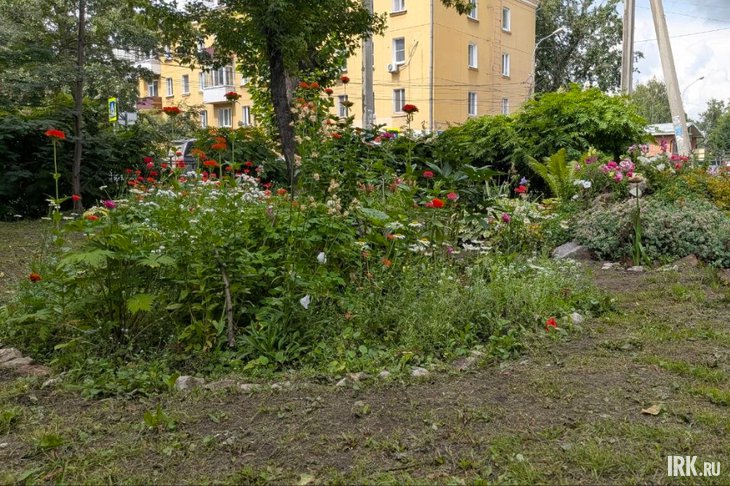 Клумба. Фото Никиты Грабовецкого, IRK.ru