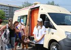 Акция. Фото пресс-службы правительства Иркутской области