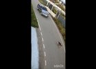 Наезд на собаку. Скриншот видео от очевидцев
