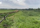 Благоустройство в «Птичьей гавани». Скриншот видео из соцсетей Руслана Болотова