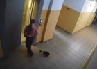 Изображение предоставлено пресс-службой ГУ МВД по региону