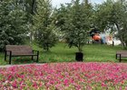 Скамейки в парке. Фото пресс-службы администрации Иркутска