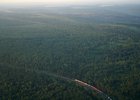 Лес. Фото пресс-службы правительства Иркутской области