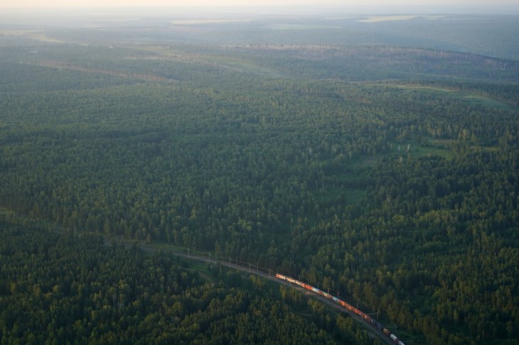 Лес. Фото пресс-службы правительства Иркутской области