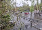 Дождь в Иркутске. Фото IRK.ru