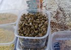 Мертвые пчелы. Фото из архива IRK.ru