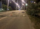 ДТП с мотоциклом. Фото Госавтоинспекции Иркутска