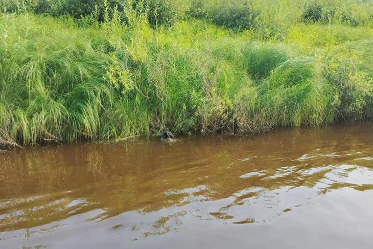Водоем. Фото пресс-службы ГУ МВД по региону
