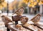 Воробьи. Изображение сгенерировано с помощью «ГигаЧат»