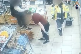 Собака в супермаркете. Скриншот видео СУ СК России по Иркутской области