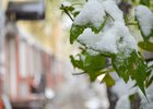 Первый снег. Фото Ильи Татарникова из архива IRK.ru