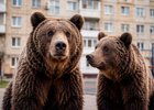 Медведи в городе. Изображение сгенерировано нейросетью ГигаЧат