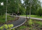 Каштаковская роща. Скриншот видео Руслана Болотова