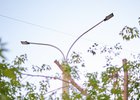 Фонарь. Фото Маргариты Романовой, IRK.ru