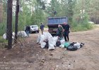 Уборка мусора. Фото из канала мэра Братска Александра Дубровина в «Макс»