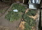 Запрещенные вещества. Фото пресс-службы ГУ МВД России по Иркутской области