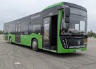 Автобус. Фото Никиты Грабовецкого, IRK.ru