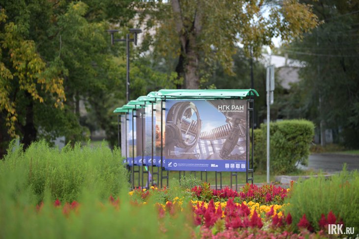 Выставка на бульваре Гагарина. Фото Маргариты Романовой, IRK.ru