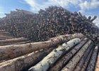 Пиломатериалы. Фото Восточно-Сибирской транспортной прокуратуры