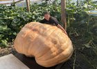 Тыква. Фото пресс-службы правительства Иркутской области