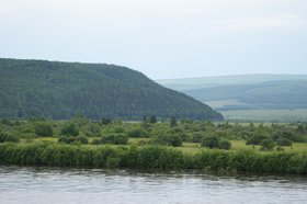 Лес. Фото пресс-службы правительства Иркутской области