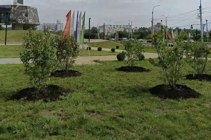 Фото пресс-службы мэрии Иркутска
