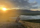 Байкал. Фото предоставлено авторами фильма