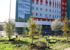 Благоустройство территории поликлиники. Фото пресс-службы администрации Иркутска