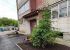 Двор. Фото пресс-службы администрации Иркутска