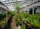 Теплица. Фото Ильи Татарникова из архива IRK.ru