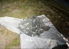 Пойманный омуль. Фото пресс-службы Восточно-Сибирского ЛУ МВД России на транспорте