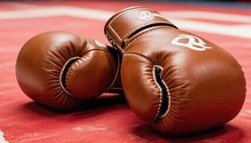 Турнир по боксу памяти тренеров спортивного клуба единоборств «Спартак»