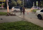 Место ДТП. Фото пресс-службы Госавтоинспекции Иркутской области