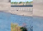 Медведь. Скриншот видео Ирины Волк