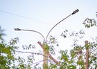 Фонарь. Фото Маргариты Романовой, IRK.ru