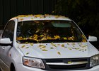 Машина. Фото Маргариты Романовой, IRK.ru