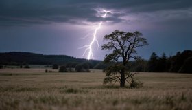 Электричество и биоэлектричество