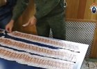 Изъятые деньги, полученные как незаконное вознаграждение. Скриншот видео СУ СК России по региону