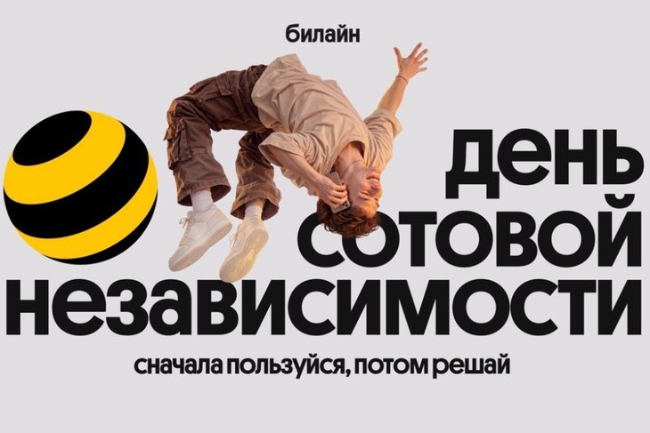 Фото предоставлено оператором Билайн