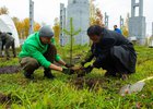 Акция по посадке деревьев. Фото предоставлено пресс-службой БФ «Подари планете жизнь»