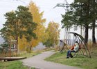 Роща. Фото пресс-службы администрации Иркутска