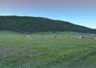 Поле у Большого Голоустного. Фото ФГБУ «Заповедное Прибайкалье»