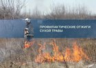 Анонс. Фото пресс-службы администрации Иркутска