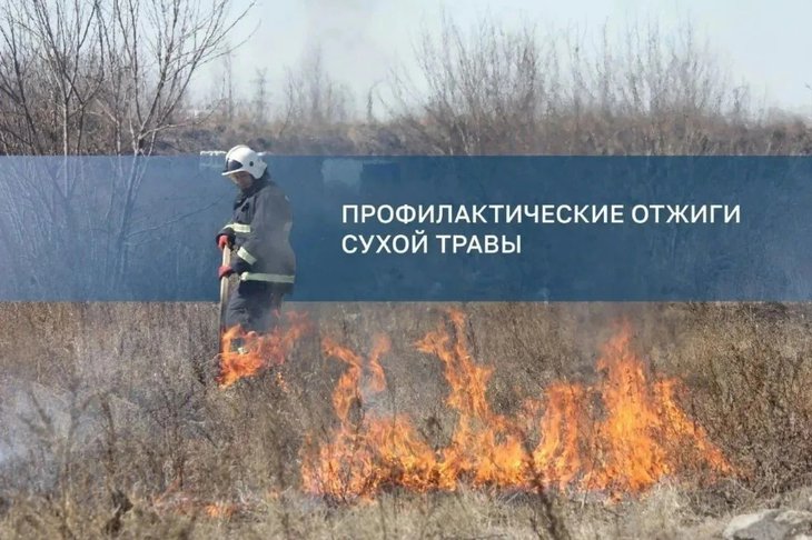 Анонс. Фото пресс-службы администрации Иркутска